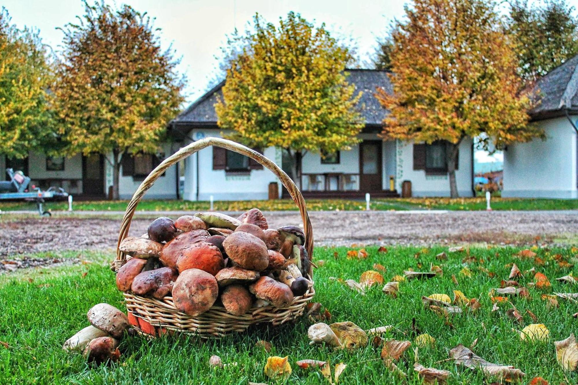 Bereg Holiday Park Svetlogorskoye Extérieur photo