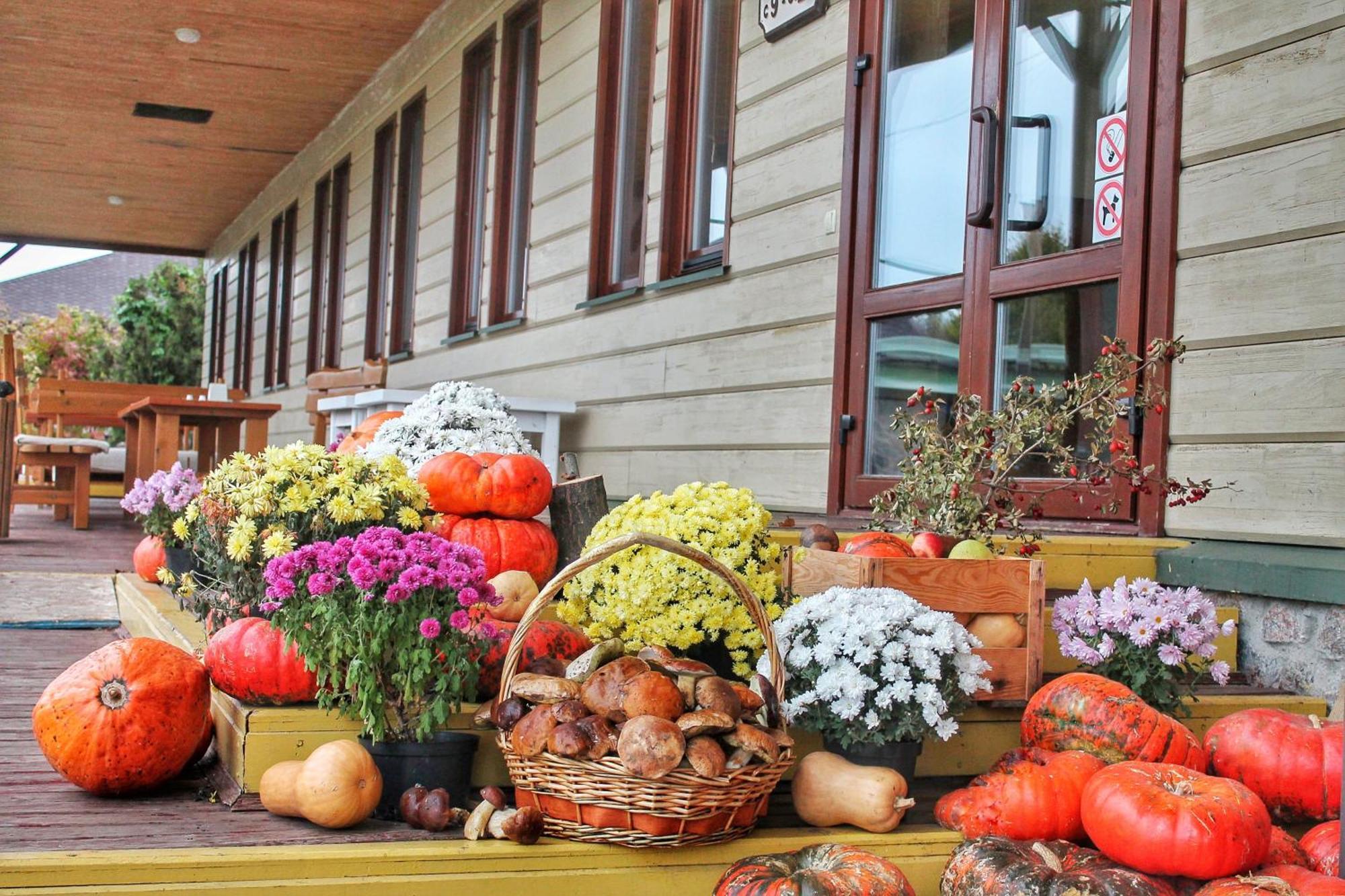 Bereg Holiday Park Svetlogorskoye Extérieur photo